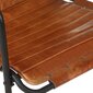 vidaXL atpūtas krēsls ar kājsoliņu, brūna dabīgā āda cena un informācija | Dārza krēsli | 220.lv