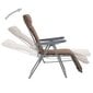 vidaXL salokāmi dārza krēsli ar matračiem, 2 gab., brūni cena un informācija | Dārza krēsli | 220.lv