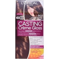 Краска для волос без аммиака Casting Creme Gloss L'Oreal Expert Professionnel цена и информация | Краска для волос | 220.lv
