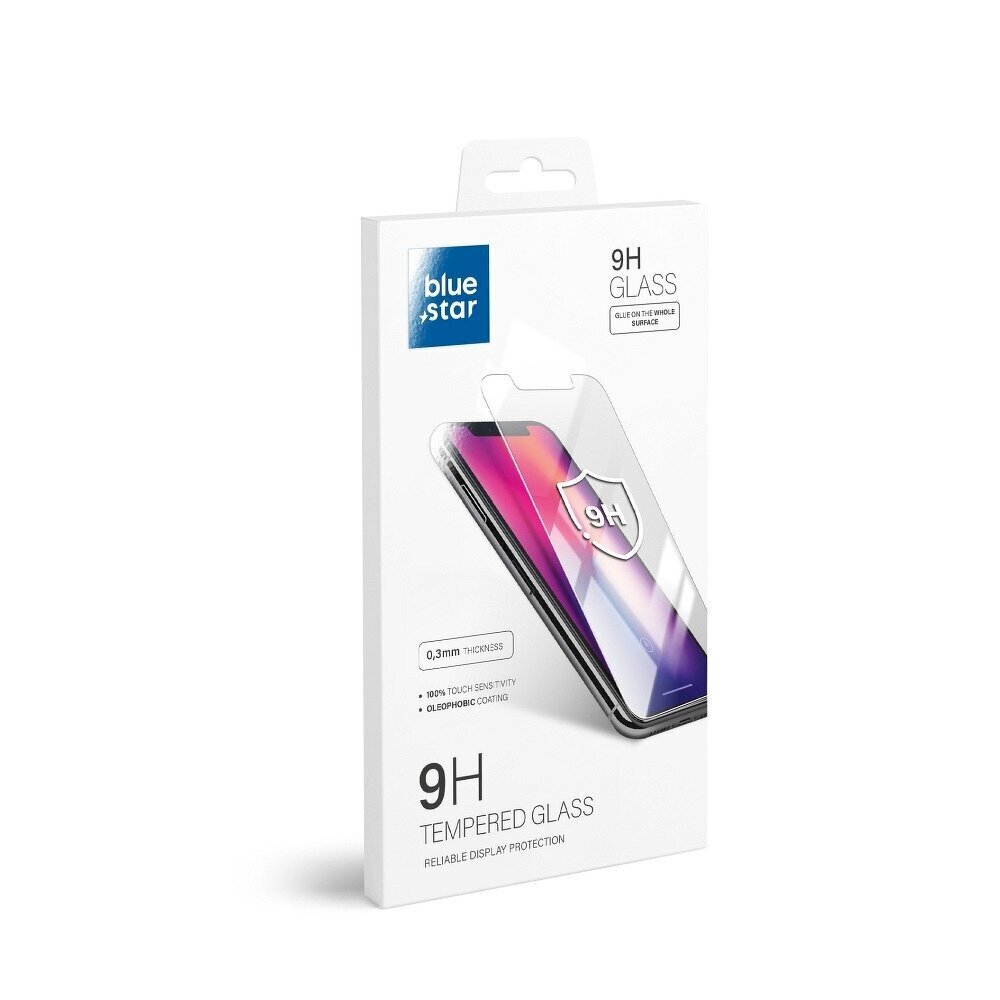 Blue Star aizsargstikls mobilajam telefonam Apple iPhone 13 Pro Max цена и информация | Ekrāna aizsargstikli | 220.lv