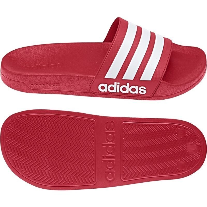 Pludmales čības Adidas Adilette Shower AQ1705, sarkanas cena un informācija | Iešļūcenes, čības sievietēm | 220.lv