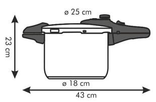 Tescoma Presto spiediena katls, 6 l цена и информация | Кастрюли, скороварки | 220.lv