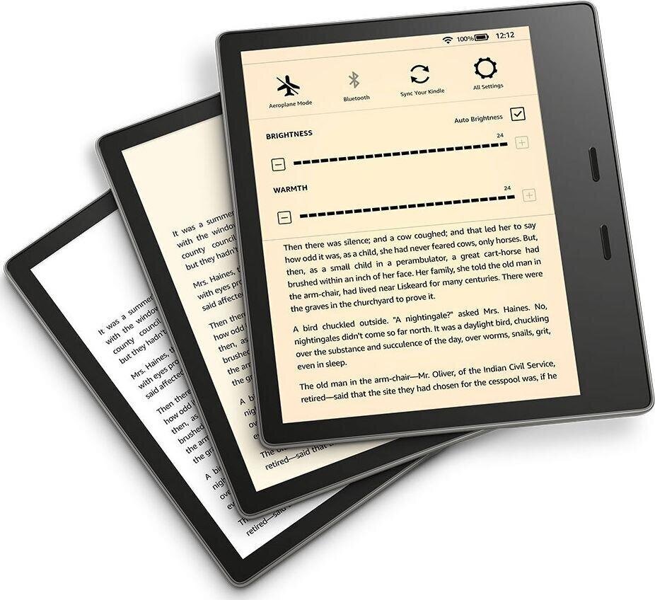 Amazon Kindle Oasis Gen 10 (2019) 8GB WiFi, grey цена и информация | E-grāmatu lasītāji | 220.lv