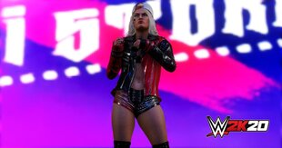 Xbox One WWE 2K20 цена и информация | Компьютерные игры | 220.lv