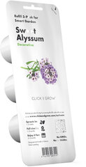 Click & Grow Smart Garden refill Sweet Alyssum 3pcs цена и информация | Проращиватели, лампы для растений | 220.lv