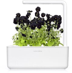 Click & Grow Smart Garden refill Black pansy 3шт цена и информация | Проращиватели, лампы для растений | 220.lv
