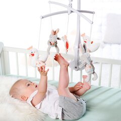 Fehn музыкальная карусель на детскую кроватку, Swan Lake цена и информация | Игрушки для малышей | 220.lv