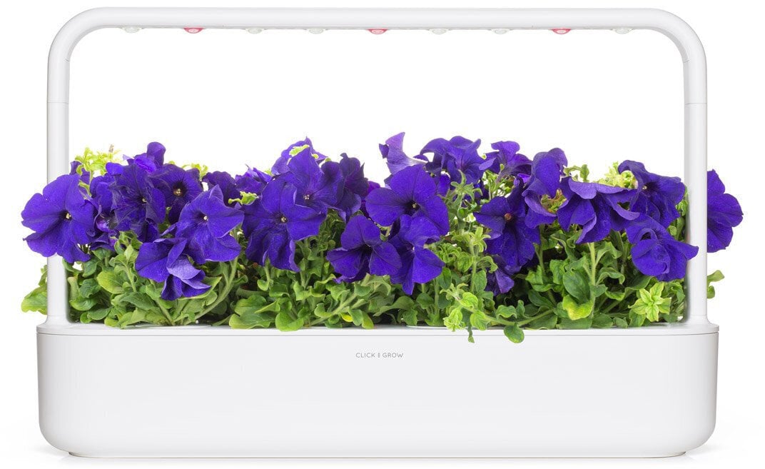 Click & Grow SGR61X3 cena un informācija | Diedzēšanas trauki, augu lampas | 220.lv