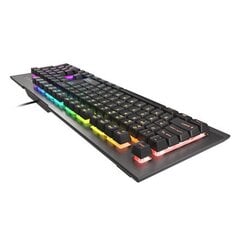 Игровая клавиатура Genesis Rhod 500, светодиодная RGB-подсветка, США, серебро цена и информация | Клавиатуры | 220.lv