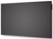 NEC 60005062 цена и информация | Monitori | 220.lv