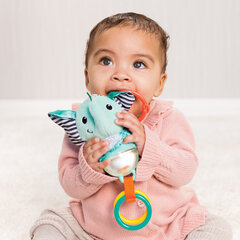 INFANTINO Teksturēts grabulis cena un informācija | Rotaļlietas zīdaiņiem | 220.lv