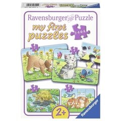 Bērnu puzle Mājdzīvnieki cena un informācija | Puzles, 3D puzles | 220.lv