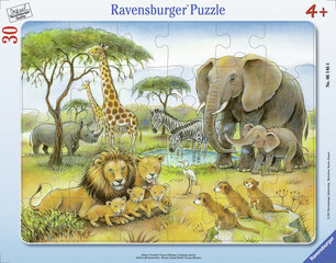 Ravensburger puzle 30-48gb. āfrikas fauna цена и информация | Пазлы | 220.lv
