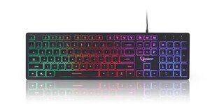 Клавиатура Gembird Rainbow backlight multimedia k цена и информация | Клавиатуры | 220.lv