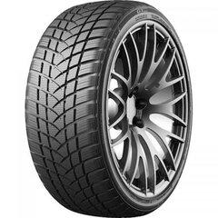 GT RADIAL Winterpro2Sport 215/65 17 99V цена и информация | Зимние шины | 220.lv