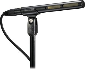 Микрофон Audio Technica AT875R Line + Gradient Co цена и информация | Микрофоны | 220.lv