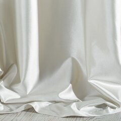 Aizkars Special, balts, 140 x 250 cm cena un informācija | Aizkari | 220.lv
