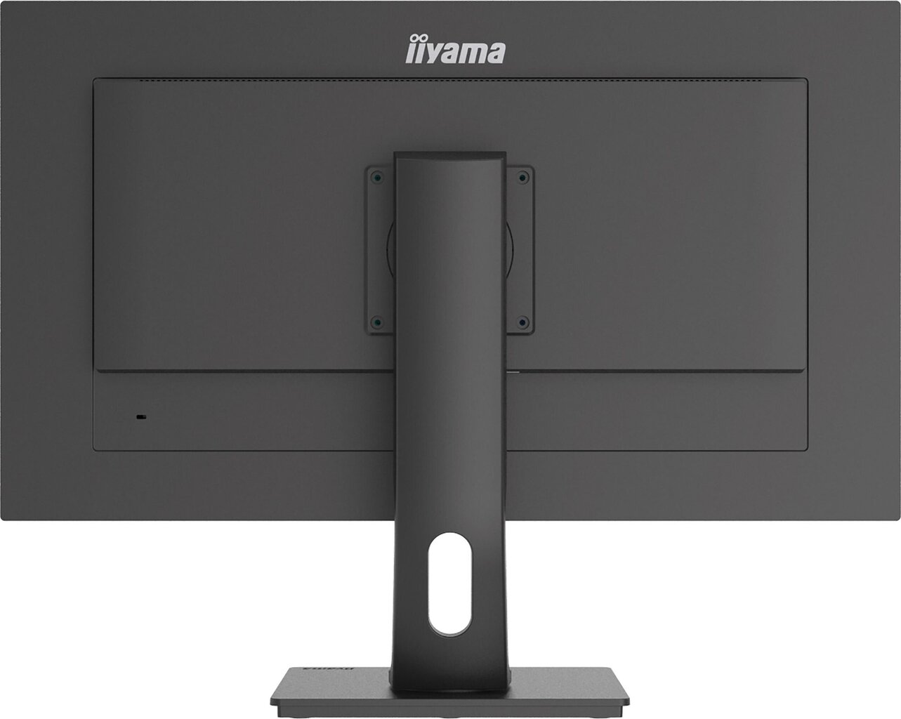 Iiyama XUB2893UHSU-B1 cena un informācija | Monitori | 220.lv