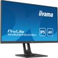 Iiyama XUB2893UHSU-B1 cena un informācija | Monitori | 220.lv