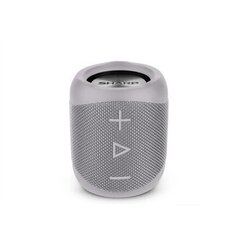 Sharp GX-BT180GR, серый цена и информация | Аудиоколонки | 220.lv