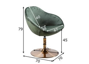 Kресло Sarin, зелёный цена и информация | Кресла в гостиную | 220.lv
