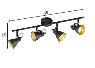 FH Lighting потолочный светильник Bobby цена и информация | Потолочные светильники | 220.lv
