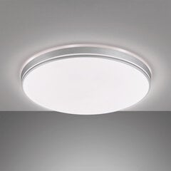 Griestu lampa LED Sori цена и информация | Потолочные светильники | 220.lv