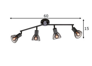 Griestu lampa Jess цена и информация | Потолочные светильники | 220.lv