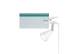 Лампа для чтения FH Lighting Zirbel цена и информация | Настольные лампы | 220.lv
