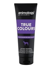 ANIMOLOGY шампунь для собак TRUE COLOURS 250 мл цена и информация | Косметические средства для животных | 220.lv