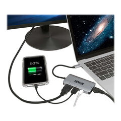 Tripp Lite USB-C Dock U444-06N-H4GUSC Single Display cena un informācija | Adapteri un USB centrmezgli | 220.lv