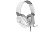 Turtle Beach headset Recon 200, white cena un informācija | Austiņas | 220.lv