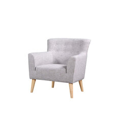 Кресло Guyana, светло-серый/светлый цена и информация | Кресла в гостиную | 220.lv