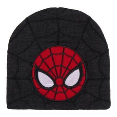 Bērnu cepure, Spiderman, pelēka цена и информация | Шапки, перчатки, шарфы для мальчиков | 220.lv