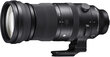 Sigma 150-600mm f/5-6.3 DG DN OS Sports lens for Sony cena un informācija | Objektīvi | 220.lv