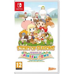 Story of Seasons: Friends Of Mineral Town цена и информация | Компьютерные игры | 220.lv