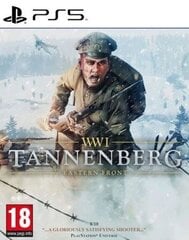 WWI Tannenberg: Eastern Front cena un informācija | Datorspēles | 220.lv