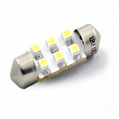 LED Spuldze M-Tech C5W 12V цена и информация | Автомобильные лампочки | 220.lv