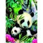 Ravensburger puzle 300 gab. Pandas cena un informācija | Puzles, 3D puzles | 220.lv