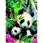 Ravensburger puzle 300 gab. Pandas cena un informācija | Puzles, 3D puzles | 220.lv