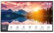 LG 43US662H0ZC 43Signage Display цена и информация | Televizori | 220.lv