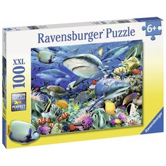 Puzle Haizivis, 100 gab., Ravensburger cena un informācija | Puzles, 3D puzles | 220.lv