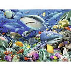 Puzle Haizivis, 100 gab., Ravensburger cena un informācija | Puzles, 3D puzles | 220.lv