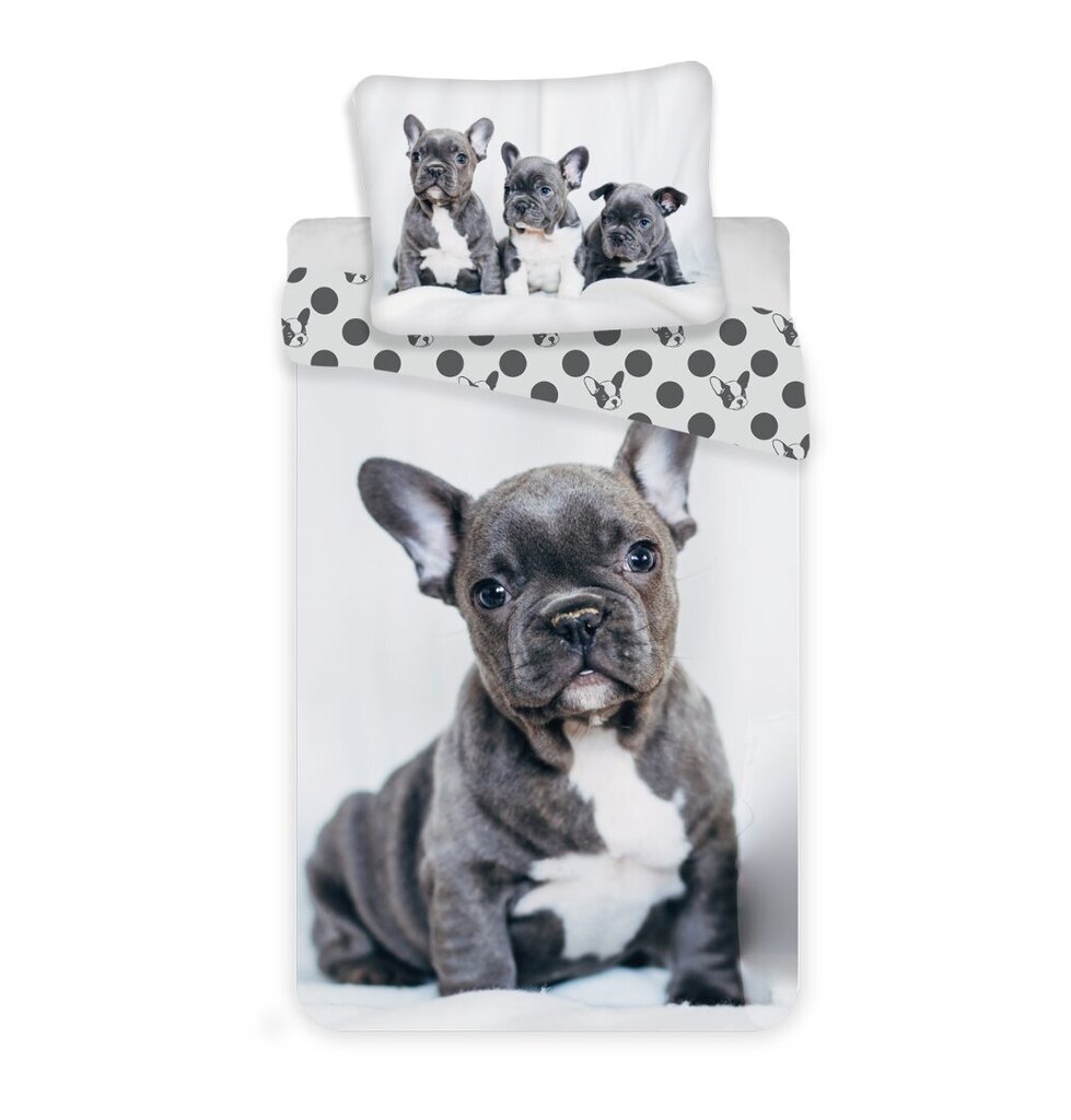 Jerry Fabrics gultas veļas komplekts Bulldog, 140x200, 2 daļas cena un informācija | Gultas veļas komplekti | 220.lv