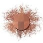 Bronzeris Bourjois Always Fabulous Bronzing 002 Dark, 9g cena un informācija | Bronzeri, vaigu sārtumi | 220.lv