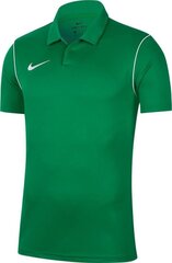 T-krekls vīriešiem Nike Dri Fit Park 20 BV6879 302, zaļš cena un informācija | Vīriešu T-krekli | 220.lv