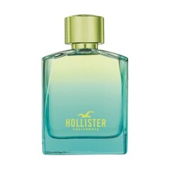 Hollister Wave 2 EDT для мужчин 100 мл цена и информация | Мужские духи | 220.lv