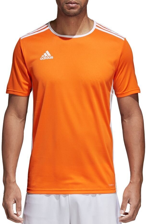 T-krekls vīriešiem Adidas Entrada 18 JSY CD8366, oranžs cena un informācija | Vīriešu T-krekli | 220.lv
