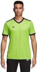 Мужская футболка Adidas Tabela 18 JSY CE1716, зеленая цена и информация | Мужские футболки | 220.lv