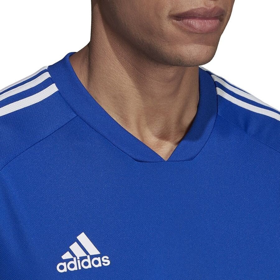 T-krekls vīriešiem Adidas Tiro 19 TR JS DT5285, zils цена и информация | Vīriešu T-krekli | 220.lv
